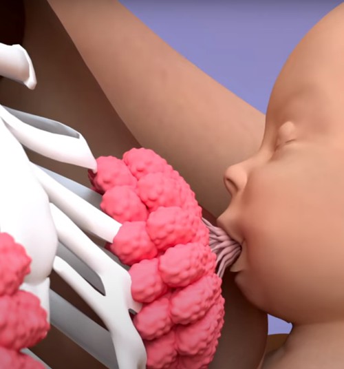 Imeilus video sellest, mis imetamise ajal naise kehas tegelikult toimub