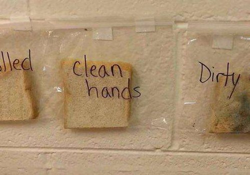 Põnev eksperiment, mis õpetab kätepesu tähtsust
