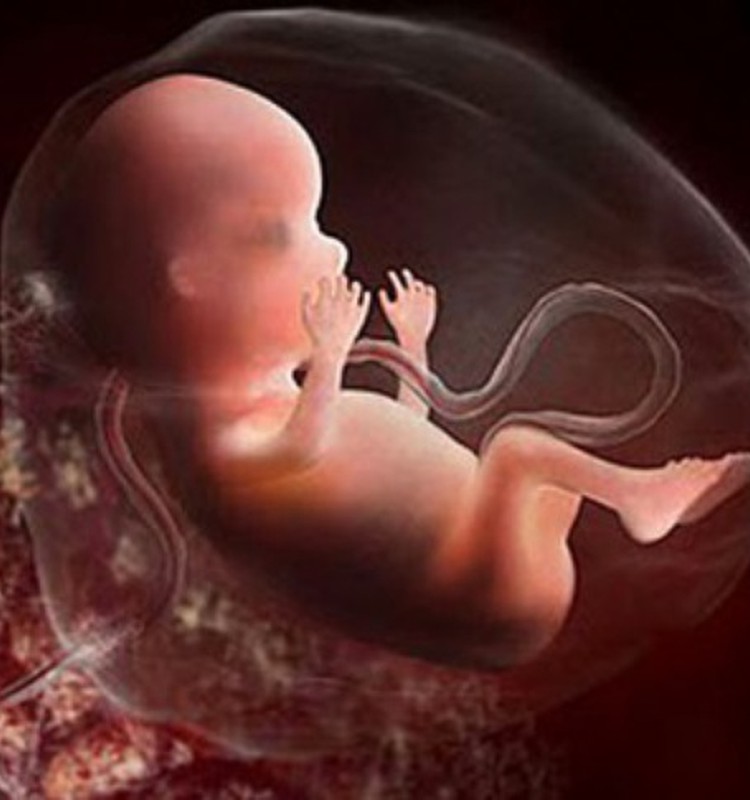 ARUTELU: Kas abort tuleks keelustada?