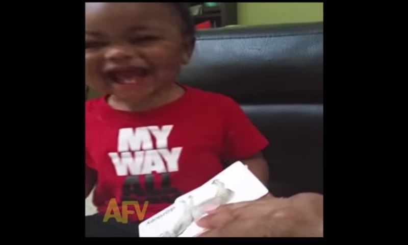 Video: Imearmas poisiklutt ei saa naeru pidama, kuuldes sõna eesel