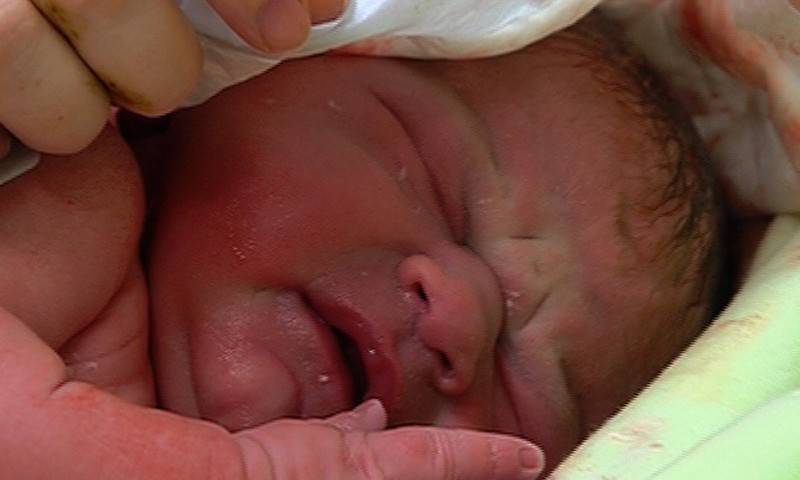 Beebi sünnilugude jagamise võistluse loosimine!