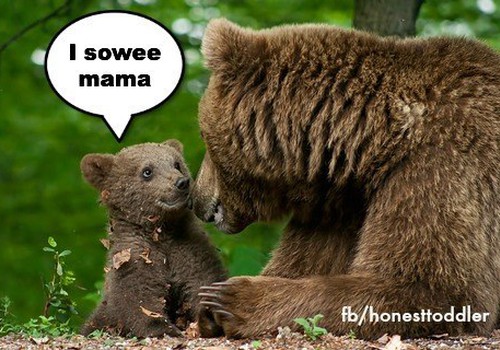 Huumor: 13 viisi, kuidas karu teab, et on ema