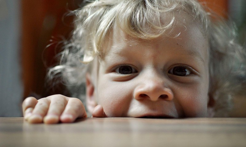 Laps hammustab teisi. Miks ta seda teeb?