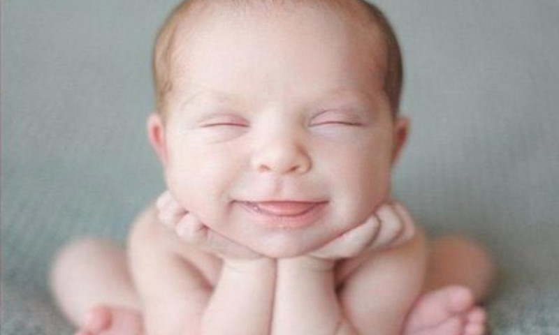 Teadlased: beebid mäletavad pigem õnnelikke hetki ning unustavad halva