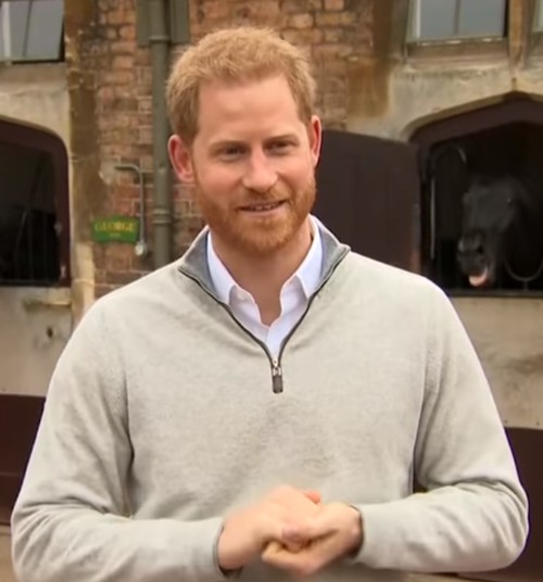 Imearmas video: Prints Harry annab teada, et talle sündis poeg