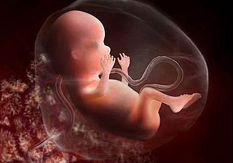 ARUTELU: Kas abort tuleks keelustada?