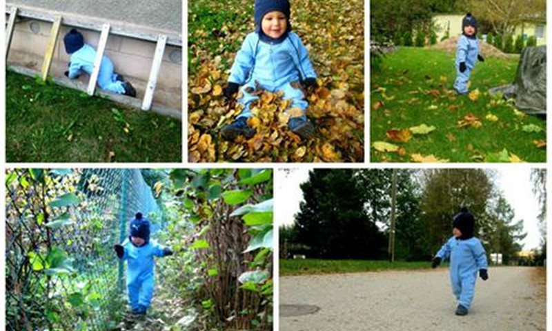 Jassu sügist nautimas ... 