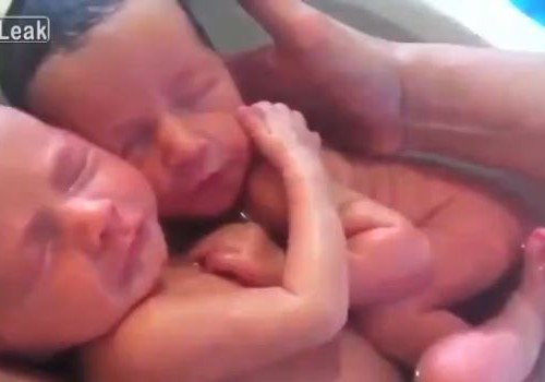 Armas video:  kaksikud on juba sündinud, aga ei saa sellest veel ise aru...
