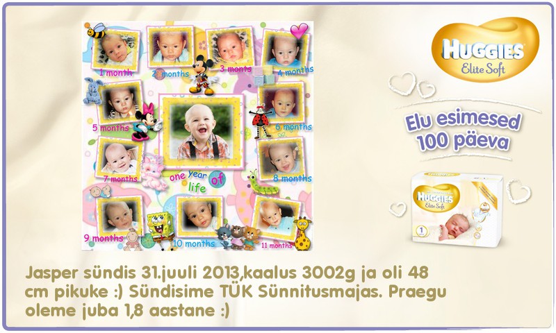 TUTVUSTAN OMA BEEBIT!